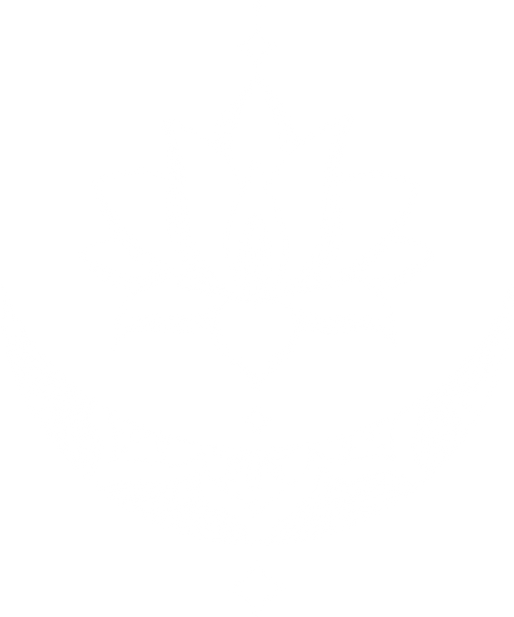 Lotus & Mandala Logo